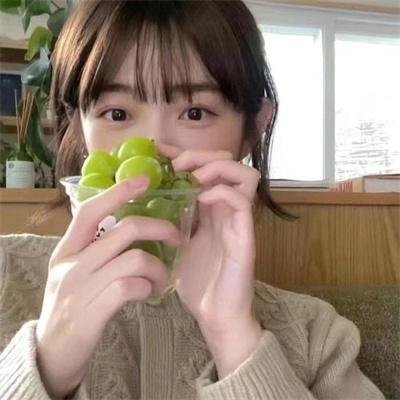 小狗丹的物语